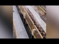 Forno de silicato de sódio de processo seco / máquina de fabricação de silicato de sódio sólido